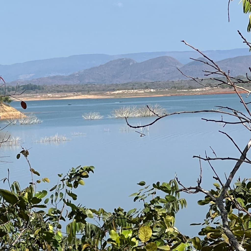 Marina, Pele, foto 1 de 1