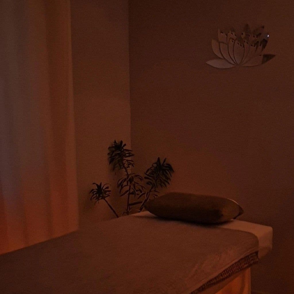 Carlos Fostatei Massoterapia, Massagem