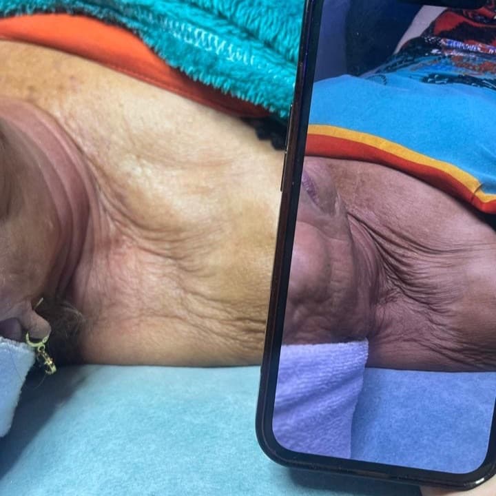 Camila Antualpa, Pele